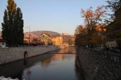 Mini IMG 1588